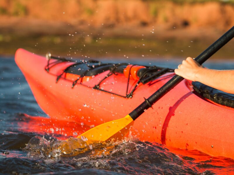 Paddleboard or Kayak Rentals – Delivered to You