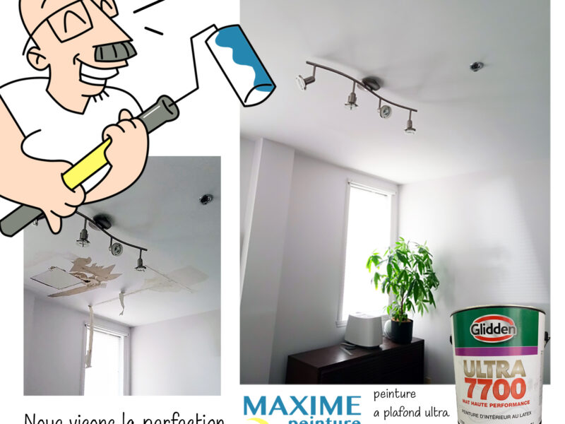 Professional Painting Services – Reliable, Clean & Affordable