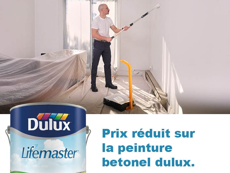 Professional Painting Services – Reliable, Clean & Affordable